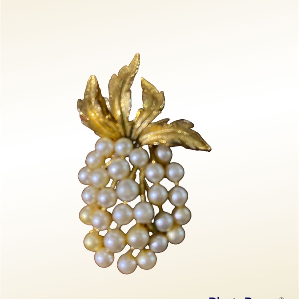 Antique pineapple brooch